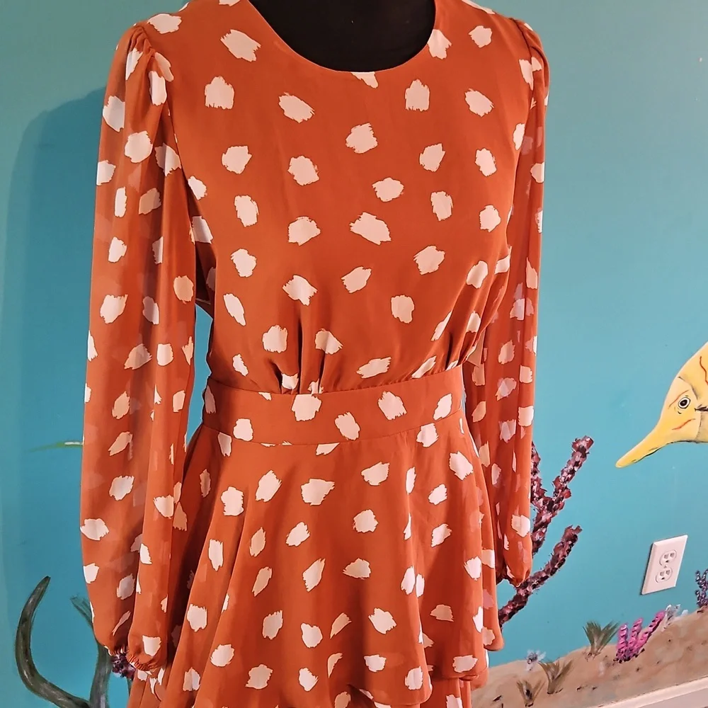 Forever 21 Long Sleeve Dress - Picture 2 of 7